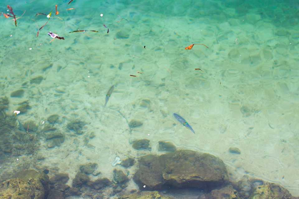 In Koror